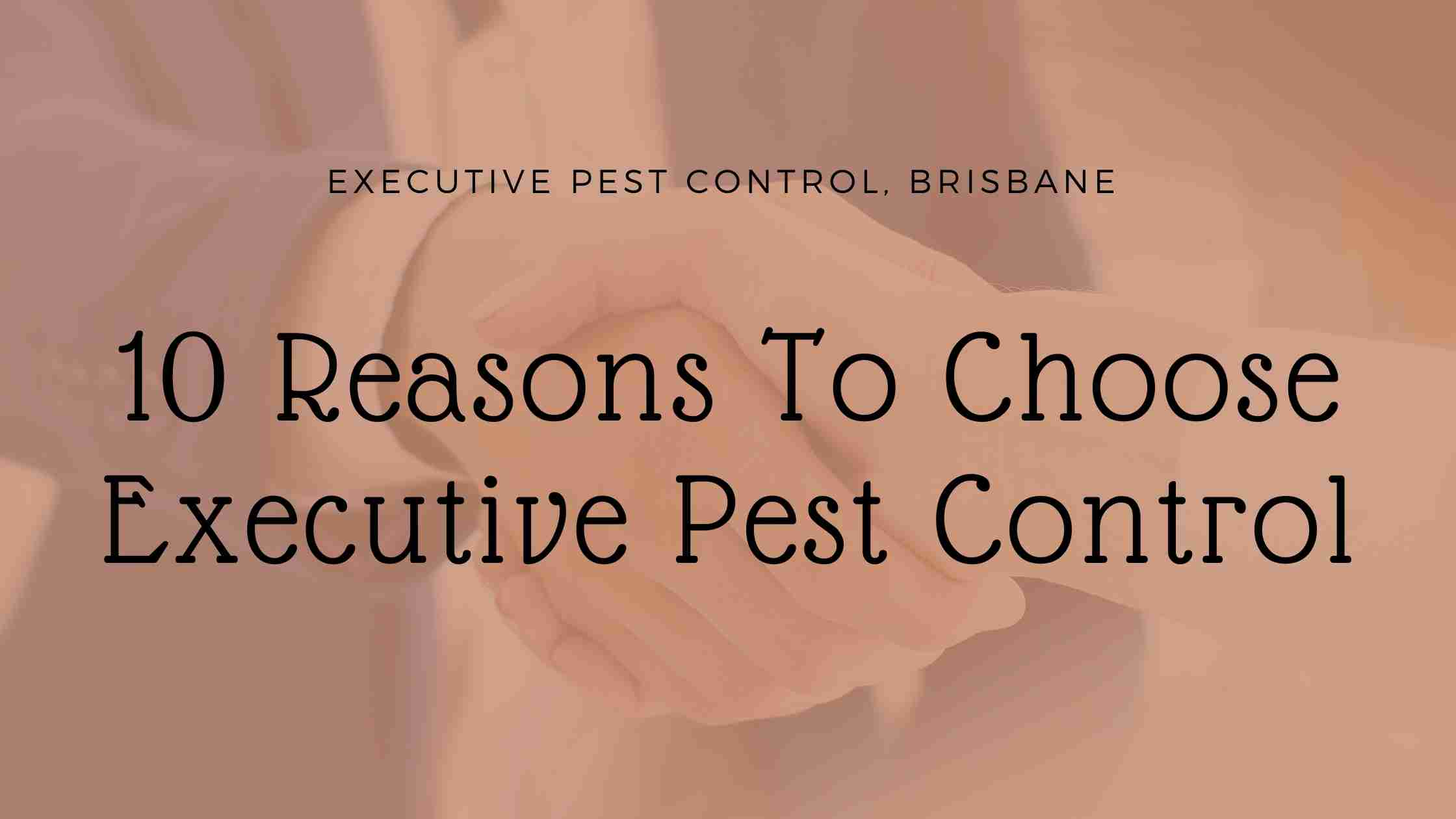 10 Reasons To Choose Executive Pest Control | Executive Pest Control ...